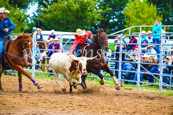 BraidwoodRodeo2017_0320