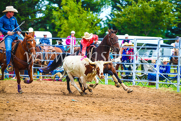 BraidwoodRodeo2017_0325