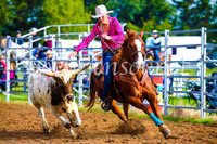 BraidwoodRodeo2017_0008