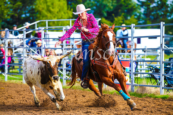 BraidwoodRodeo2017_0008