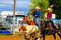 BraidwoodRodeo2017_0018