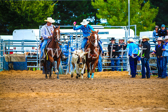 BraidwoodRodeo2017_0294