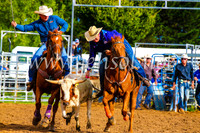 BraidwoodRodeo2017_0027