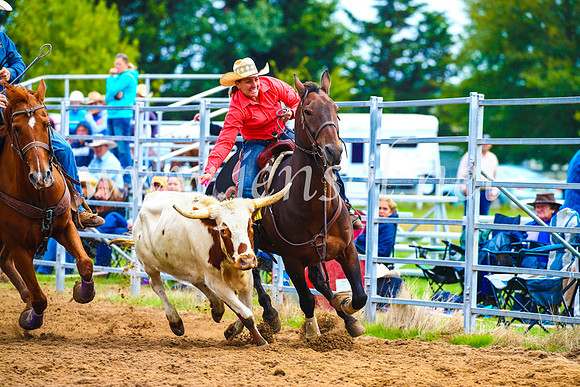BraidwoodRodeo2017_0336