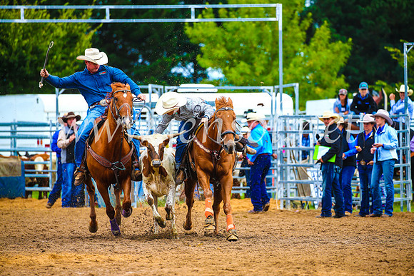 BraidwoodRodeo2017_0283