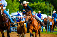 BraidwoodRodeo2017_0012
