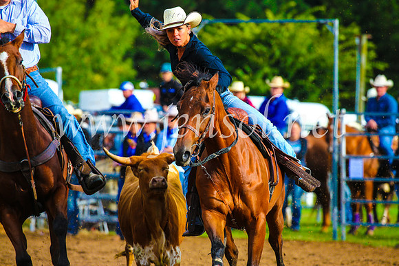 BraidwoodRodeo2017_0012
