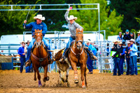 BraidwoodRodeo2017_0281