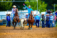 BraidwoodRodeo2017_0289