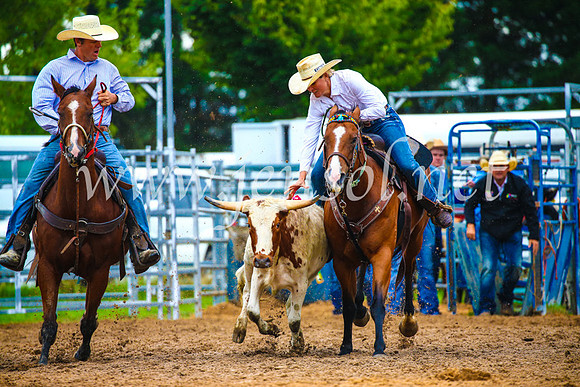 BraidwoodRodeo2017_1798