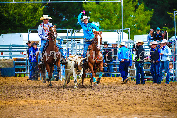 BraidwoodRodeo2017_0295
