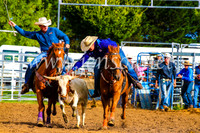 BraidwoodRodeo2017_0026