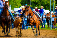 BraidwoodRodeo2017_0013
