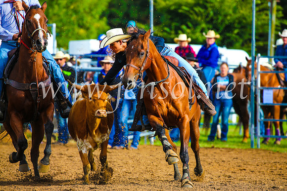 BraidwoodRodeo2017_0013
