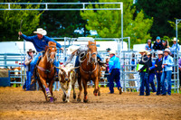BraidwoodRodeo2017_0286