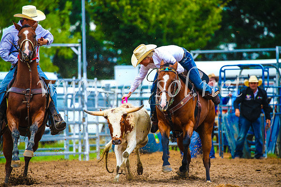 BraidwoodRodeo2017_1811