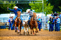 BraidwoodRodeo2017_0282