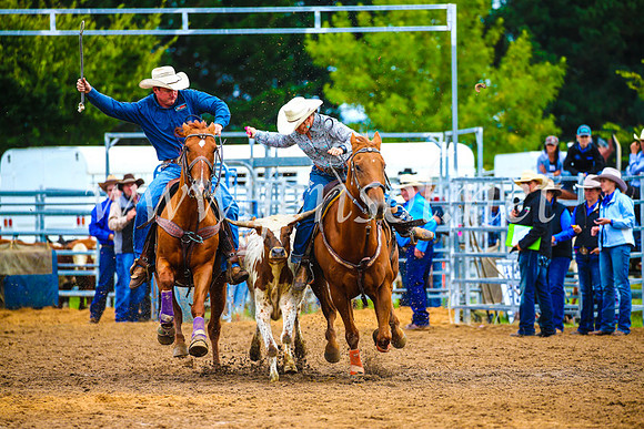 BraidwoodRodeo2017_0282