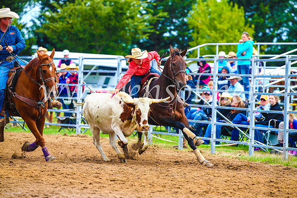 BraidwoodRodeo2017_0322