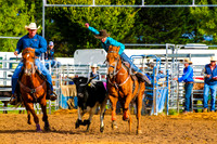 BraidwoodRodeo2017_0045