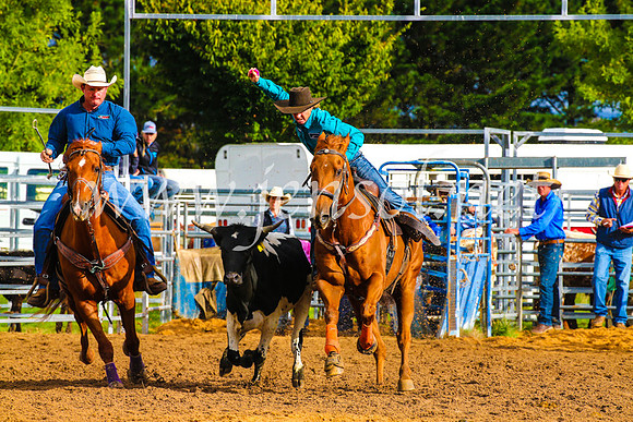 BraidwoodRodeo2017_0045