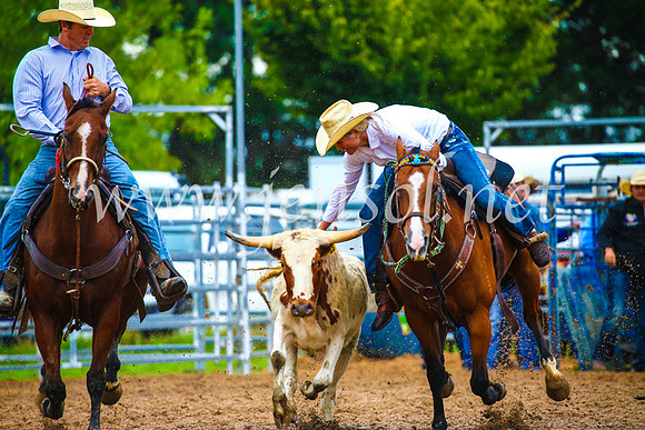 BraidwoodRodeo2017_1817