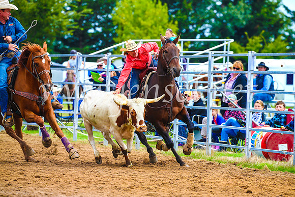 BraidwoodRodeo2017_0333