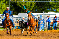 BraidwoodRodeo2017_0043