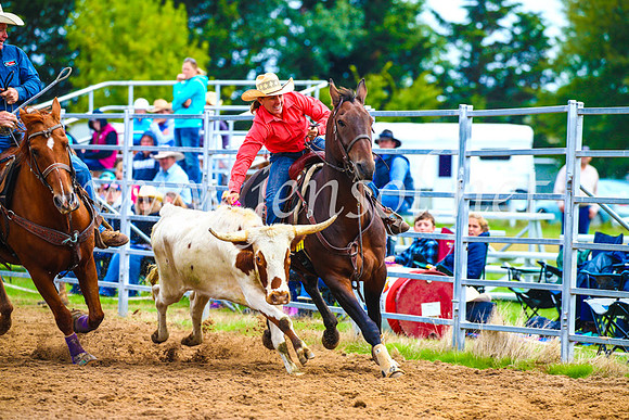 BraidwoodRodeo2017_0332