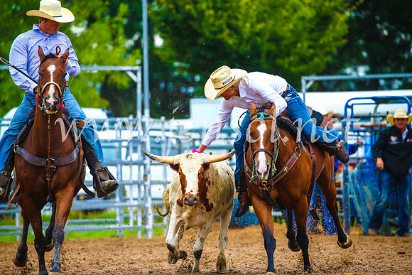 BraidwoodRodeo2017_1816