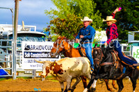 BraidwoodRodeo2017_0019