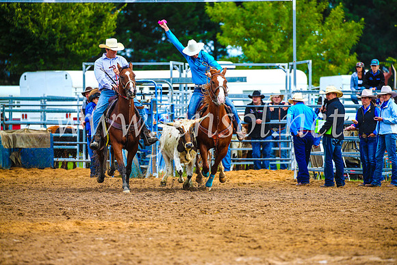 BraidwoodRodeo2017_0293