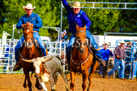 BraidwoodRodeo2017_0022