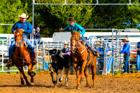 BraidwoodRodeo2017_0044