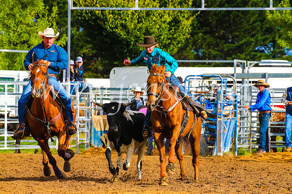 BraidwoodRodeo2017_0044