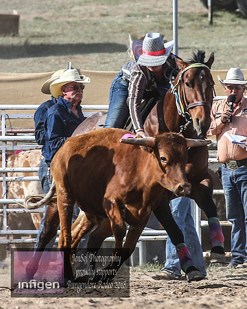 BungendoreRodeo2018-6828