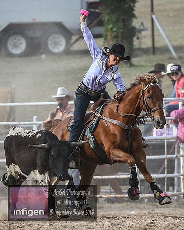 BungendoreRodeo2018-7347