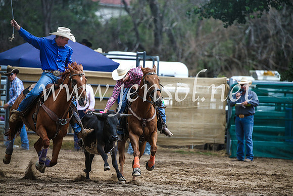 CoomaRodeo2017_0927