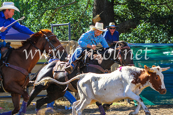 CoomaRodeo2017_9061