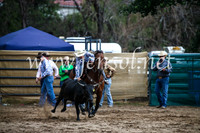 CoomaRodeo2017_0899