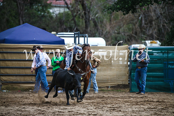 CoomaRodeo2017_0899
