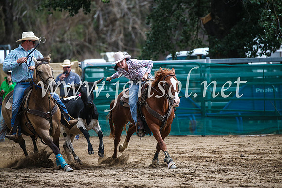 CoomaRodeo2017_0910
