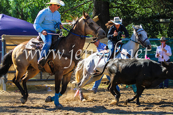 CoomaRodeo2017_9053