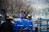 CoomaRodeo2017_2587