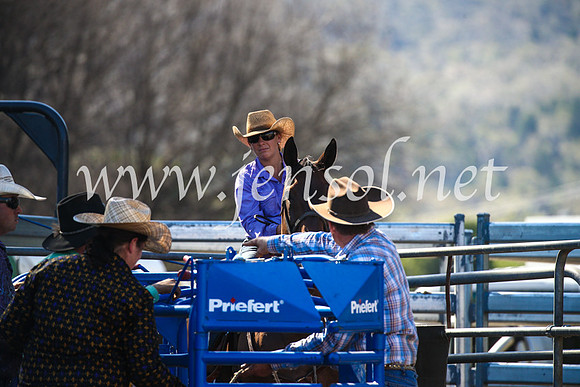 CoomaRodeo2017_2587