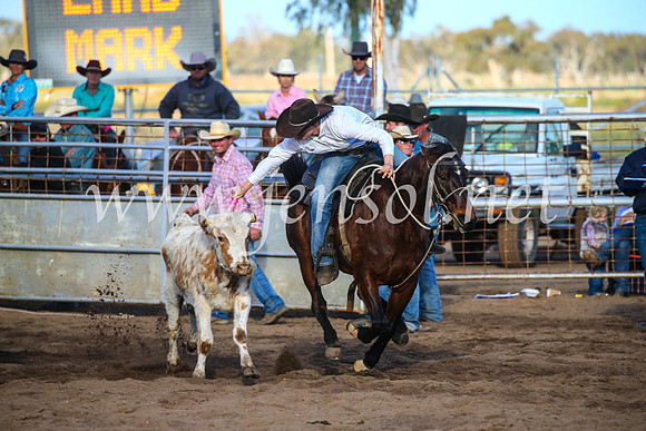 CoonambleRodeoCampdraftSun_4407