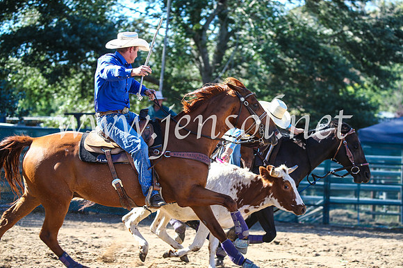 CoomaRodeo2017_2593