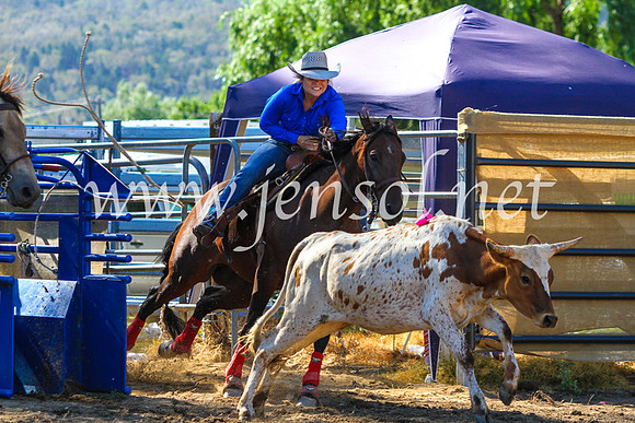 CoomaRodeo2017_9058