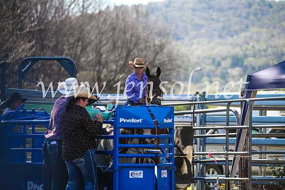 CoomaRodeo2017_2596