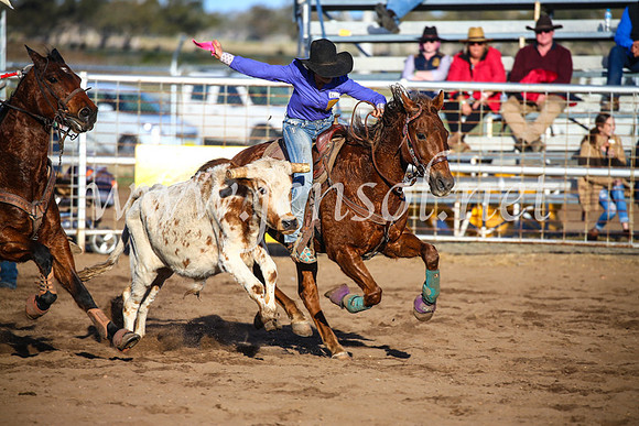 CoonambleRodeoCampdraftSun_4415